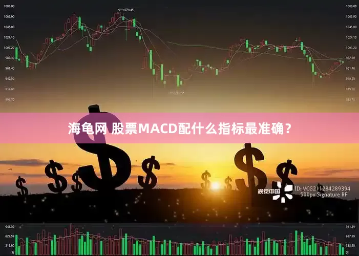 海龟网 股票MACD配什么指标最准确？